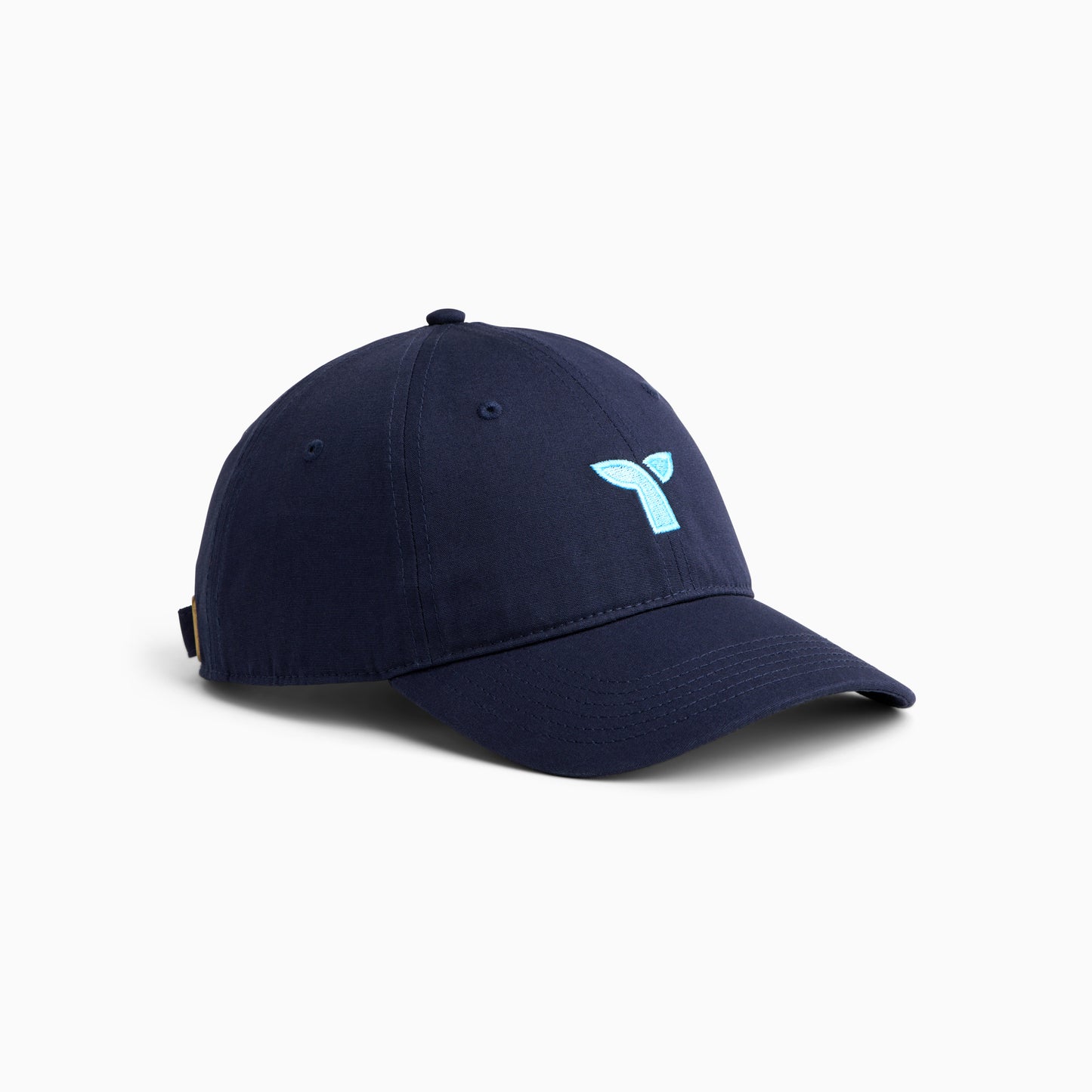 Triple Whale Dad Cap