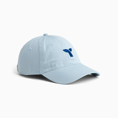 Triple Whale Dad Cap